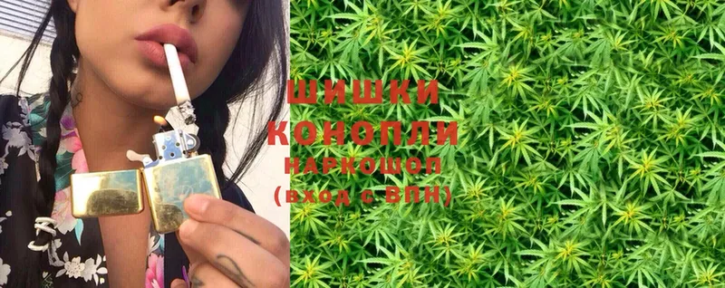 Конопля White Widow  сайты даркнета как зайти  Павловский Посад  купить наркотики цена 